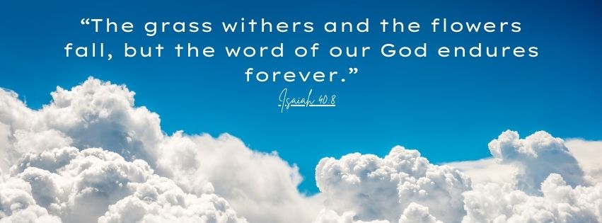 Weekly Market Insight: Stocks Rise Ahead Of Fed Meeting