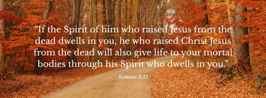 Weekly Market Insight: Stocks Advance, Despite D.C. Shutdown